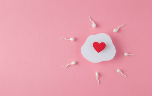 Ovário artificial tem sido um tratamento promissor para recuperar a fertilidade